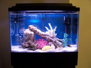 Tank @ Three Weeks!