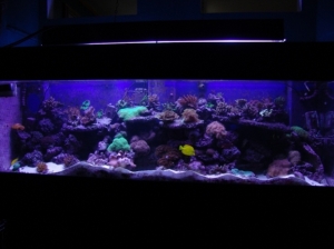 update_pic