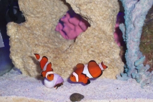 Checkin out their roommate