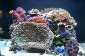 My Nano Cube