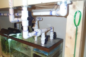 fish_tank_low_res_024