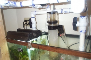 fish_tank_low_res_025