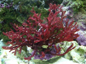 P1010158