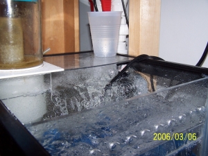 Water flow