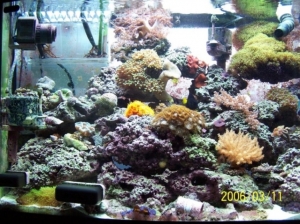 Left_side_of_tank_1