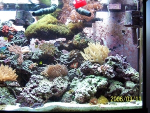 Right_side_of_tank_1