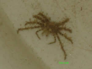 DSC09120