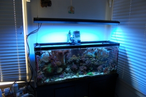 Front Tank Shot With Tek-5