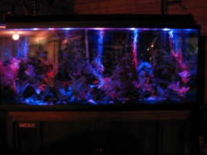 FRESHWATER TANK