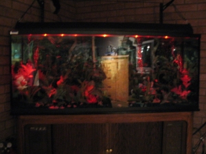 FRESHWATER TANK