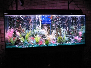 FRESHWATER TANK