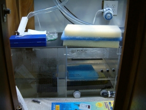 Left side of cabinet