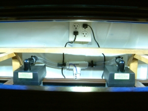 Top of the tank