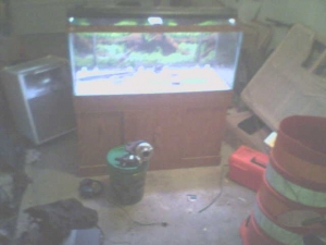 My new tank!