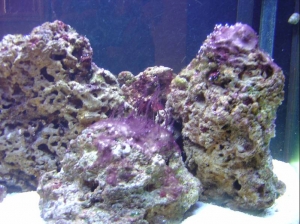 Picture2