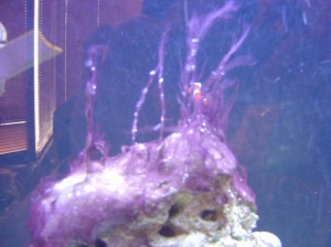 Picture3