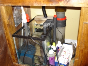 sump
