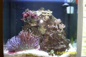 full_tank_shot
