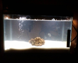 My new nano