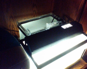 Overflowing sump