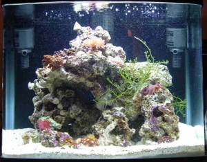 nano9week