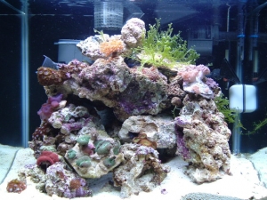 20 nano staying super clean