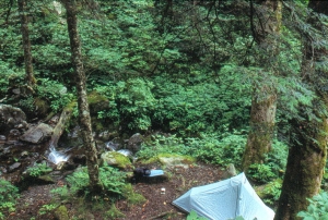 Backpacking through the Smokies