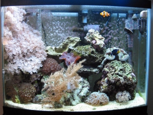 Tank_06-Sept-04-sm