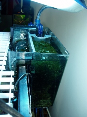 Nanofuge2