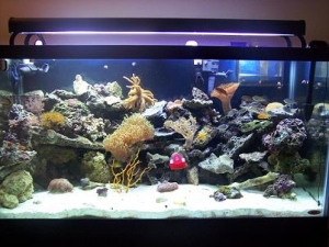 120gal