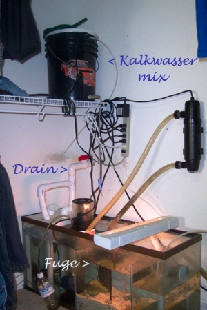 New all in one Sump and Fuge