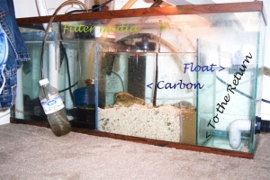 Sump Fuge Wetdry