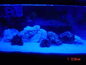 tank4