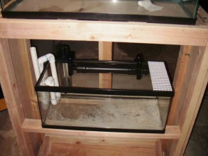 30 gal stand dry fit sump
