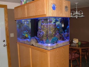 Tank_Shot_162_Medium_