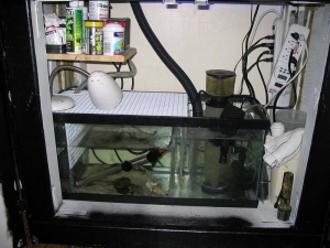 sump_refugium