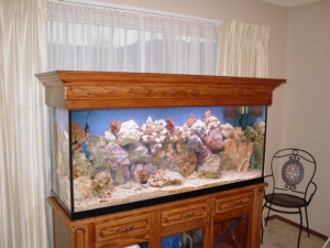 125gal tank custom tank stand