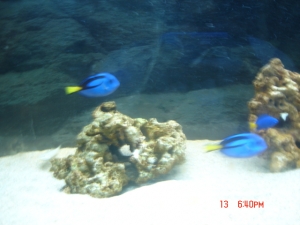 DSC00802