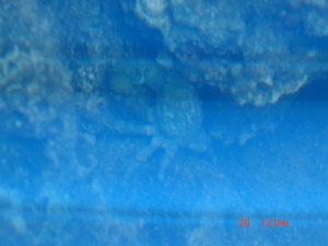 DSC00836