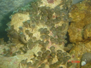 DSC00906