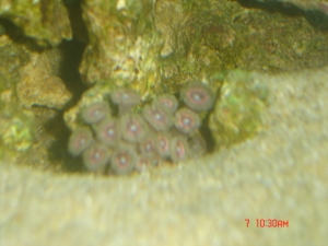 DSC00908