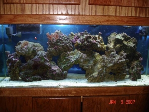 Aquascape after canister filter removed