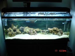 DSC01040