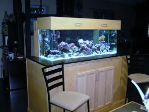 Left Side