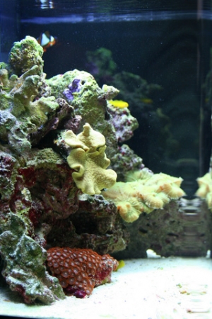 side view