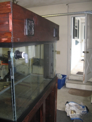 The back of the tank and fans into the hood.