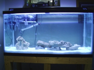Still only base rock untill my overflow arrives.