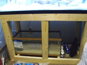 20g Long sump