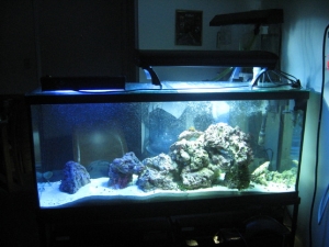 Display side!