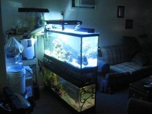 Overall, the bottom tank will soon be linked!